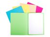 Exacompta Forever Foldyne - 100 Chemises - 170 gr - couleurs assorties