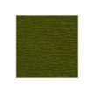 3329680951554-Clairefontaine - papier - Rouleau (50 cm x 2,5 m) - vert mousse - papier crépon-Gros plan-2
