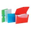 3135251183831-Viquel Propyglass - Classeur ménager (valisette trieur) 6 onglets - disponible dans diffé-P_11838303_1-0
