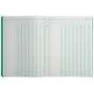 3130639140802-Exacompta - Piqûre à tête paresseuse - 8 colonnes sur 1 page - 32 x 25 cm - 80 pages - vert--1