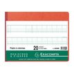 3130632062002-Exacompta - Piqûre comptable - 20 colonnes sur 2 pages - 25 x 32 cm - 80 pages-P_276200_1-5