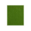 3329680951554-Clairefontaine - papier - Rouleau (50 cm x 2,5 m) - vert mousse - papier crépon-P_300003912_6-3