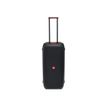 6925281973918-JBL PartyBox 310 - Enceinte de soirée - sans fil - Bluetooth - 240 Watt - 2 voies - noir-P_300051565_1-0