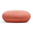 0842776102157-Google Home mini - coral--1