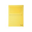 3130630502609-Exacompta Forever - 25 Chemises coin à fenêtre - 130 gr - couleurs assorties-Avant-2