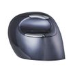 8719274674474-Bakker Elkhuizen Evoluent D - souris ergonomique sans fil pour droitier - grande taille-P_400009843_27-11