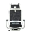 3701338802447-Appuie-tête pour fauteuil de bureau ergonomique POLAR - noir et gris--3