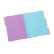 3135259811156-Viquel Rainbow Pastel - trieur à soufflet - pour A4 - à onglets - disponible en différents coloris--7
