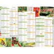 Calendrier Jardin calme - 6 mois par face - 21 x 26,5 cm - Oberthur