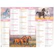 3664447165196-Calendrier Cheval - 6 mois par face - 32 x 42 cm - Oberthur--0