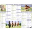 3664447165196-Calendrier Cheval - 6 mois par face - 32 x 42 cm - Oberthur--1