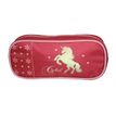 3666311026039-Trousse rectangulaire Cybel - 1 compartiment - rose - Bagtrotter--0