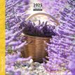 3494150161068-Calendrier mensuel 16x16 cm - 16 mois - Provence--0
