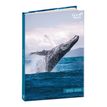 EUROTEXTAGENDA ML Mes potes à pattes sauvages - Baleine - 12x17 cm - Journalier - 12 mois de août à juillet - Quo Vadis