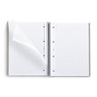 8422593465806-THE ORIGINAL NOTEBOOK, couverture rigide, A4, quadrillage 5x5 mm, 80 feuilles de 1 couleur, Miquelrius,--2