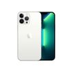 194252698259-Apple iPhone 13 Pro Max - Smartphone - 5G - 128Go - argent-P_405127958_5-0