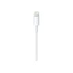 0194252750872-Apple - Câble de charge et de synchronisation USB/Connectique Lightning - 1m - blanc-P_405158027_3-2