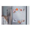 5028252621045-Nobo - Planning effaçable à sec - montable sur mur, bureau - 21 x 29,7 cm - acrylique - -P_405159887_6-5