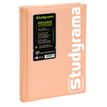 3037920235677-Agenda Studyrama Pastel - 1 jour par page - 14 x 20 cm - disponible dans différentes coul-P_405161263_5-4