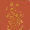 3664447208282-Agenda Astoria - 1 semaine sur 2 pages - 16,5 x 16,5 cm - orange - Oberthur-P_405186304_1-0