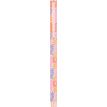 3664447199894-Styloe plume Floraison - 5 decors assortis - Oberthur-P_405228596_5-4