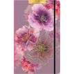 3494150175096-Agenda 13x21cm 12 mois Aquarupella -Lara Skinner --0