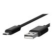 3701263509749-JAYM POP Collection - câble USB vers Micro-USB-B - 1.7 m - noir-Gros plan-2