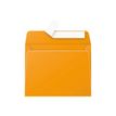 3329680053814-Pollen - 20 Enveloppes - 90 x 140 mm - 120 g/m² - capucine-Avant-0