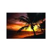 0400791363955-Fellowes nature - Tapis de souris - Le temps des palmiers-P_79136395_1-0