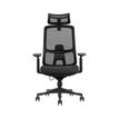 3760185025294-Fauteuil de bureau PROSEAT - accoudoirs - en T - pivotant - noir-P_79389653_1-0