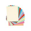 Exacompta Super 210 - 100 Chemises - 210 gr - couleurs assorties