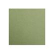 Clairefontaine Maya - Papier à dessin - A4 - 25 feuilles - 270 g/m² - kaki