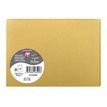 3329680265903-Pollen - folded postcards - iridescent - 5 carte(s) - 110 x 155 mm - 210 g/m²-Avant-0