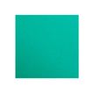 Clairefontaine Maya - Papier à dessin - 50 x 70 cm - 270 g/m² - vert foncé