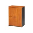 Rangement haut JAZZ+ - L80 x H112 x P48 - 3 portes - Aulne