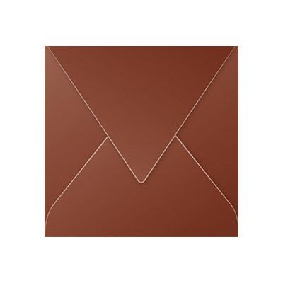 3329680052336-Pollen - 20 Enveloppes - 165 x 165 mm - 120 g/m² - chocolat-Avant-0