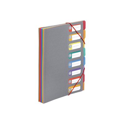 3135259908177-Viquel Rainbow Touch - Trieur extensible 8 positions - A4-Angle gauche-0