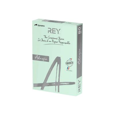 3368220103022-Rey Adagio - Papier couleur - A4 (210 x 297 mm) - 80 g/m² - Ramette de 500 feuilles - vert-Angle droit-0