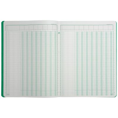 3130639140802-Exacompta - Piqûre à tête paresseuse - 8 colonnes sur 1 page - 32 x 25 cm - 80 pages - vert--1