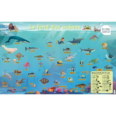 3133097359687-Les Posters Phosphorescents : Le fond des océans--0