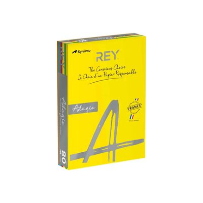 8421938302356-Rey Adagio - Papier couleur - A4 (210 x 297 mm) - 80 g/m² - Ramette de 500 feuilles - coul-Angle gauche-0