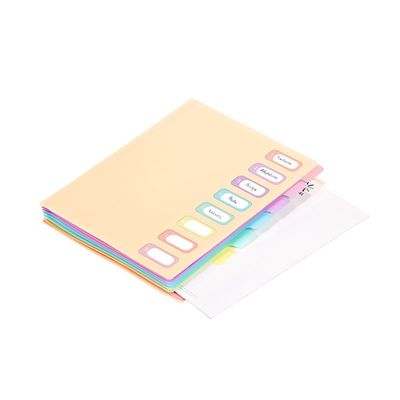 3135259811156-Viquel Rainbow Pastel - trieur à soufflet - pour A4 - à onglets - disponible en différents coloris--4