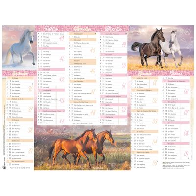 3664447165196-Calendrier Cheval - 6 mois par face - 32 x 42 cm - Oberthur--0