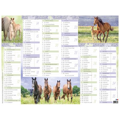 3664447165196-Calendrier Cheval - 6 mois par face - 32 x 42 cm - Oberthur--1