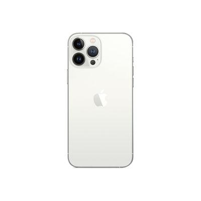 194252698259-Apple iPhone 13 Pro Max - Smartphone - 5G - 128Go - argent-P_405127958_6-1