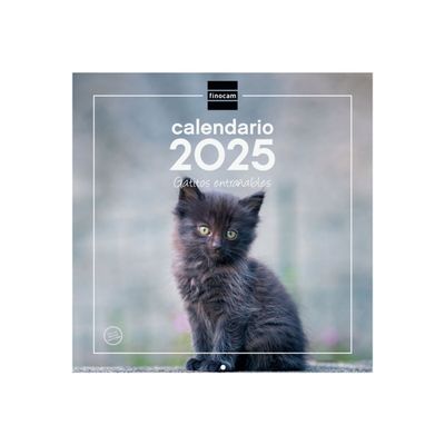8422952383567-Finocam - Calendrier - fixation murale - 2025 - cute kittens - mois à afficher - 300 x 30-P_405226906_3-0
