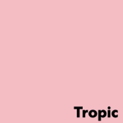 3597320000768-Antalis Coloraction - Papier couleur - A4 (210 x 297 mm) - 80 g/m² - Ramette de 500 feuilles - tropic--2