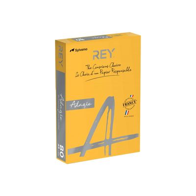 3368220089531-Rey Adagio - Papier couleur - A3 (297 x 420 mm) - 80 g/m² - Ramette de 500 feuilles - abri-Angle gauche-0