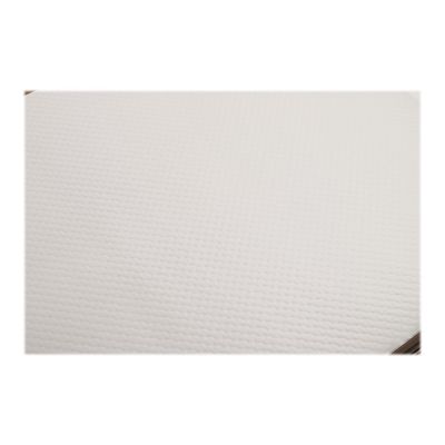 3281513540512-Cogir - 500 sets de table jetables - blanc glacé - 30 x 40 cm-Gros plan-1