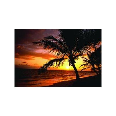 0400791363955-Fellowes nature - Tapis de souris - Le temps des palmiers-P_79136395_1-0